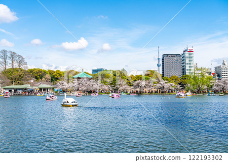 [Tokyo] Cherry blossoms in full bloom at Shinobazu Pond in Ueno Park and Tokyo Skytree 122193302