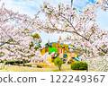 Okayama: Cherry blossoms in full bloom at Miyama Park 122249367