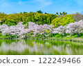 Cherry blossoms blooming at Osaka Flower Expo Memorial Park 122249466