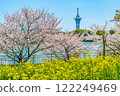 Cherry blossoms blooming at Osaka Flower Expo Memorial Park 122249469