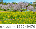 Cherry blossoms blooming at Osaka Flower Expo Memorial Park 122249470