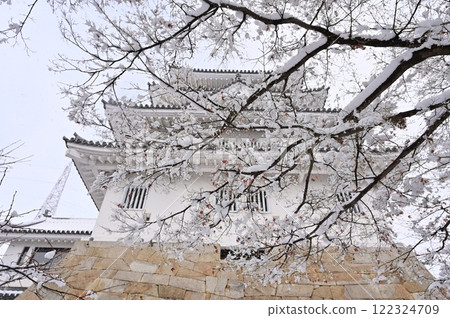 Snow scene of Taiko Shusse Bridge and Sunomata Ichiya Castle (Ogaki City, Gifu Prefecture) 122324709