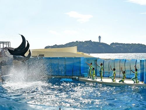 新江ノ島水族館