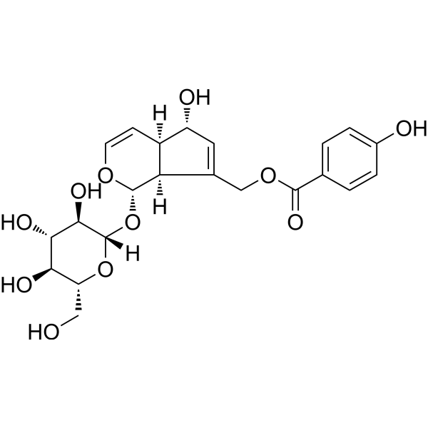 Agnuside (Standard)