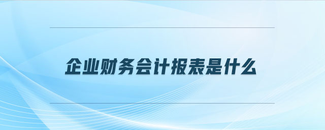 企业财务会计报表