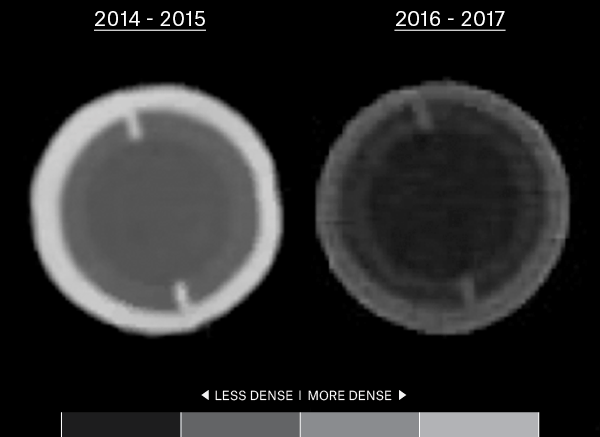 Scale showing the density of 2014 -- 2015 baseball CT scans vs. 2016 -- 2017 scans, where the newer ball is less dense