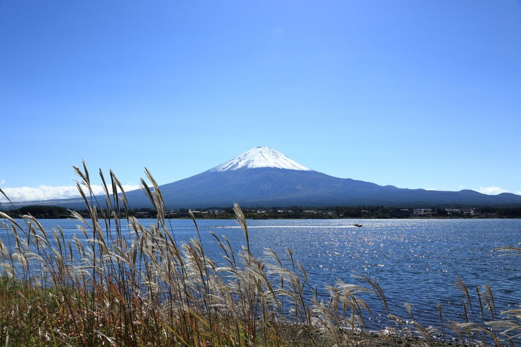 山梨_山中湖_遊び・体験_1