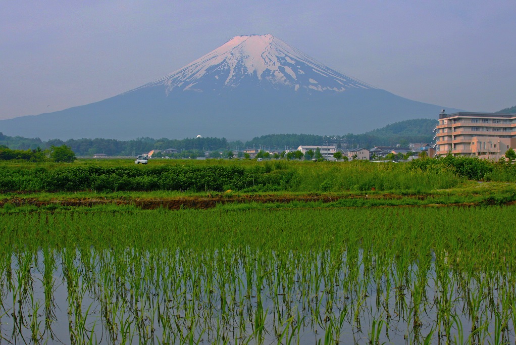 山梨_富士山（山梨側）_遊び・体験_1