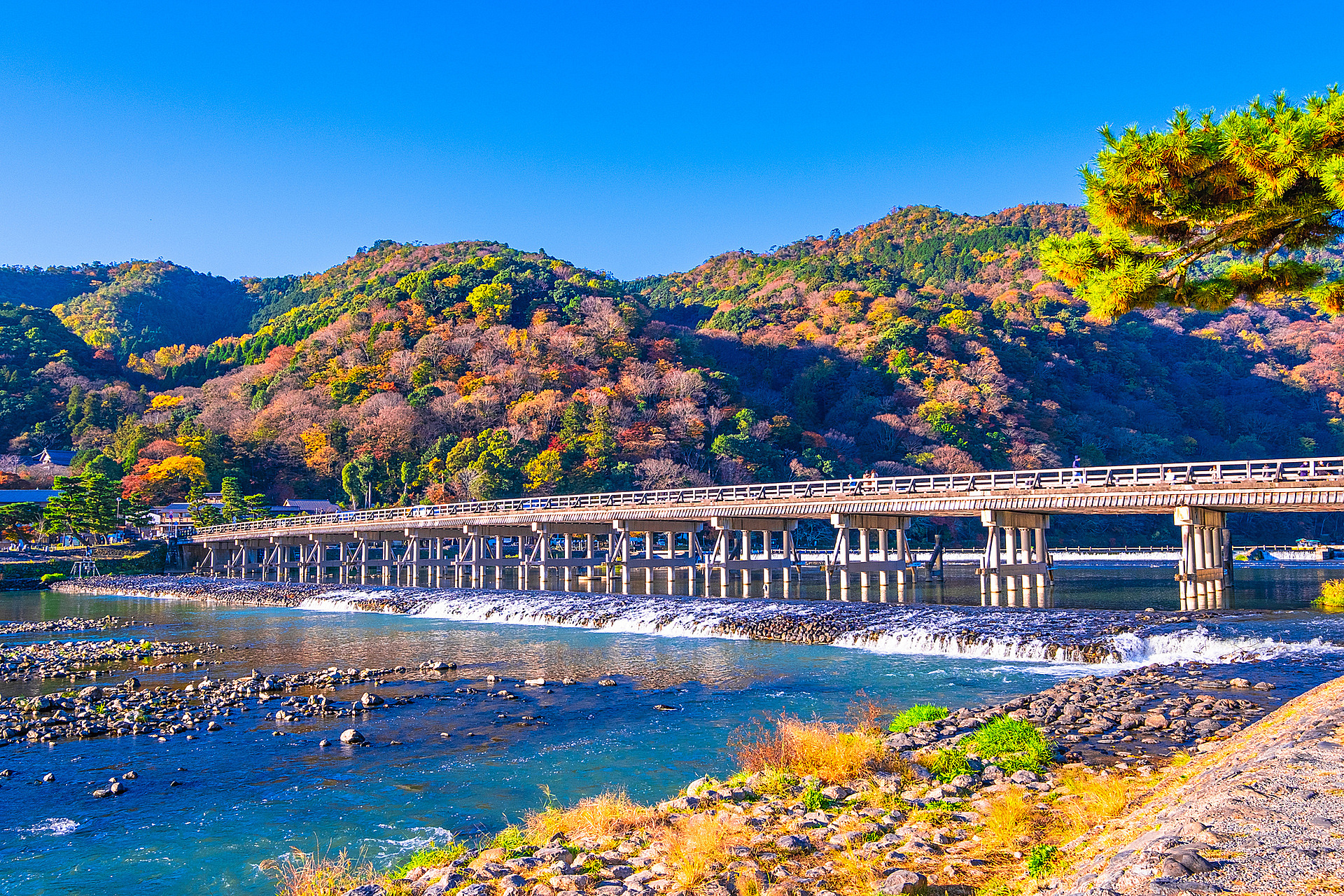 京都_嵐山_遊び・体験_1