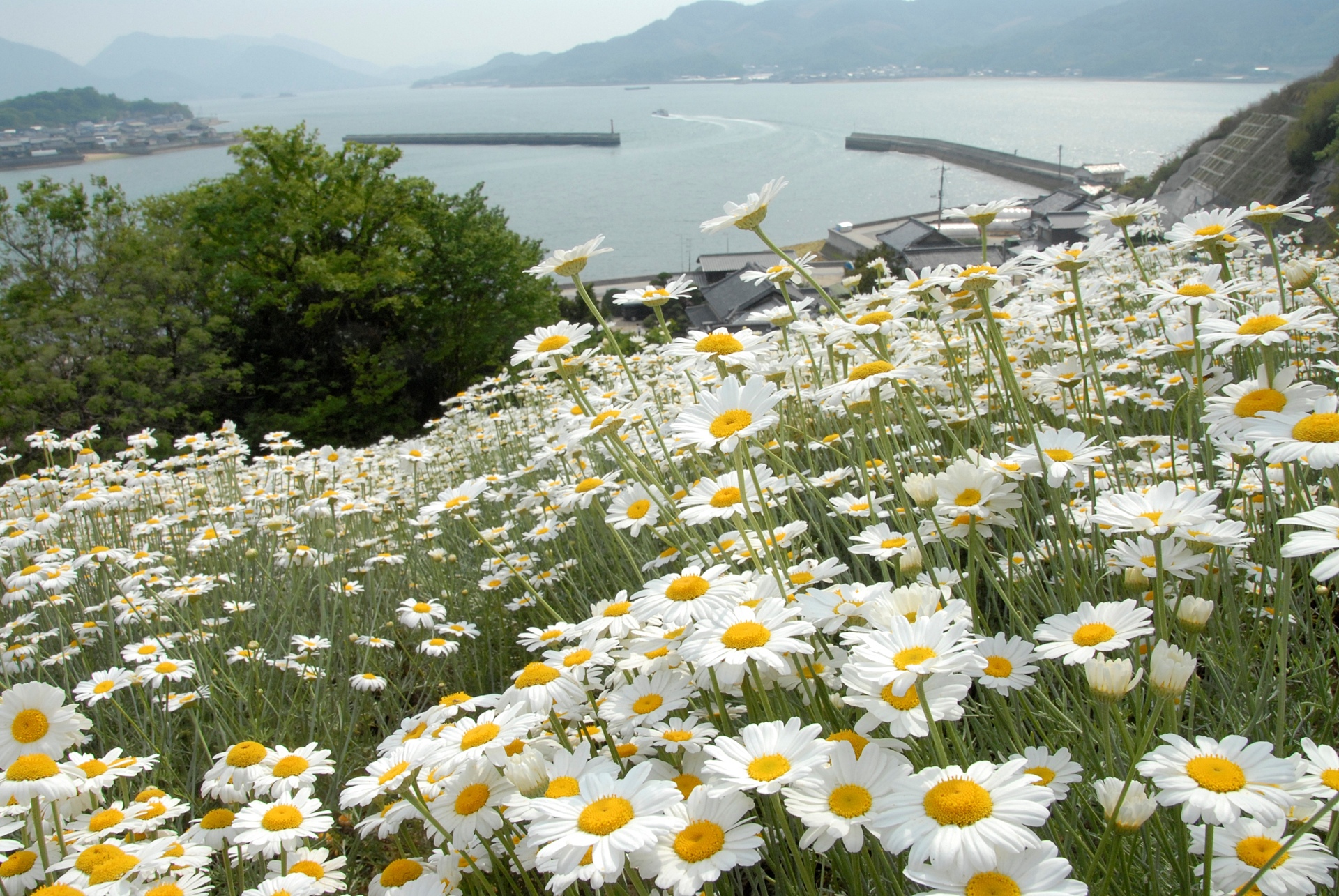 広島_因島_遊び・体験_1