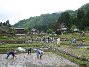 五箇山