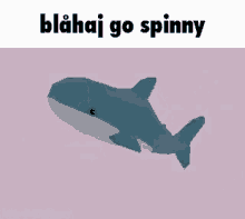 spinning blåhaj