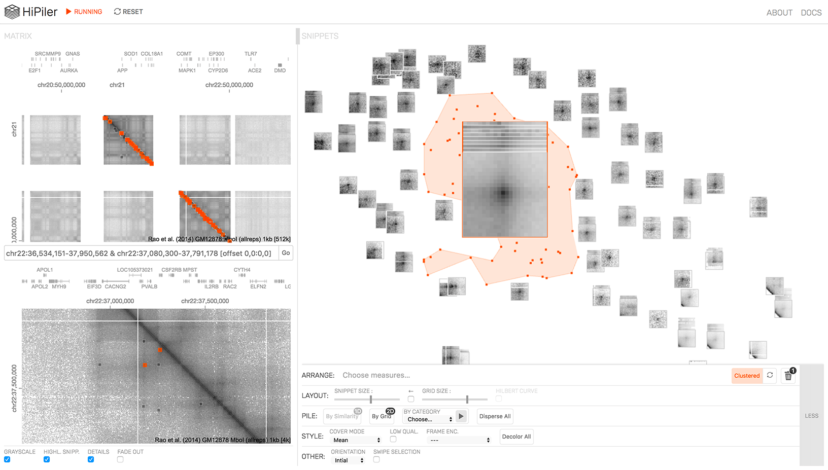 HiPiler's interface