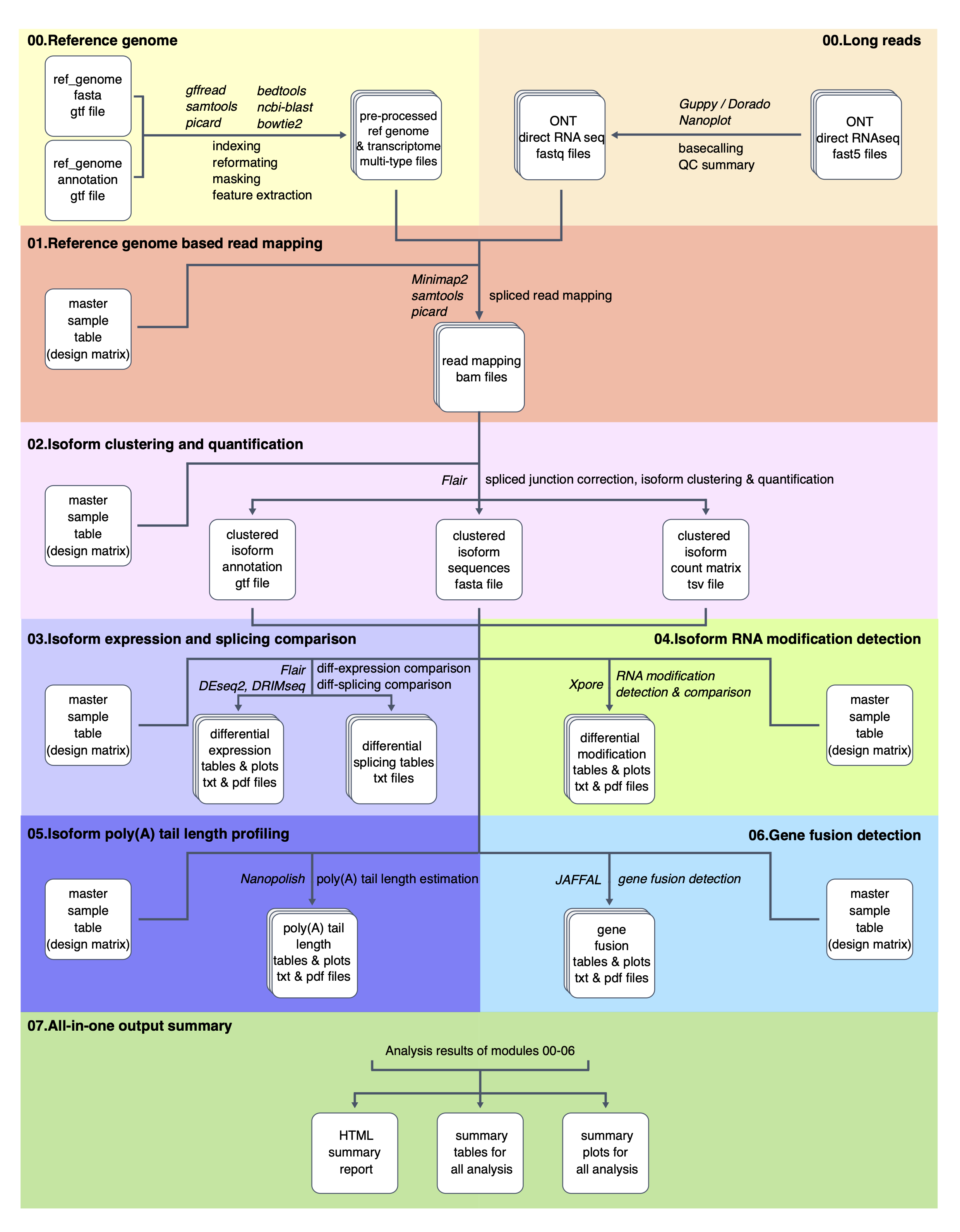 NanoTrans_overview