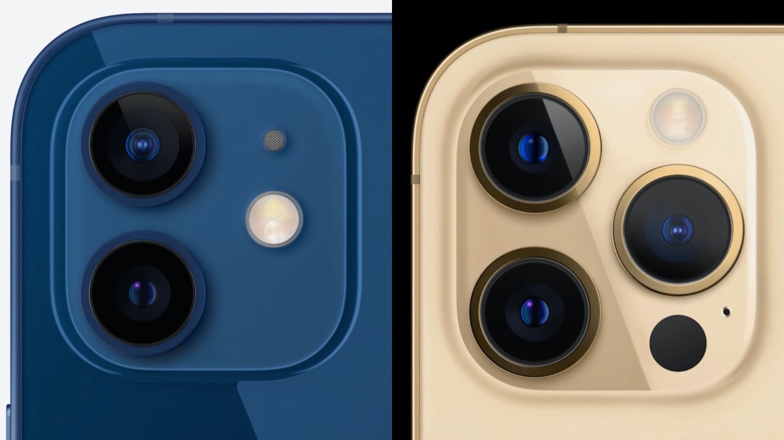 Iphone12 and 12pro camera comparison