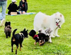 台湾のお店でよく見かける『動物のマーク』　意味を知って「なんか新鮮！」