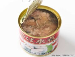 サバ缶の意外な使い方に「その手があったか」　暑い日に食べたい夏の定番料理とは？