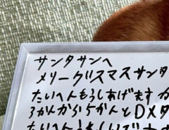 気遣いがすごい小２息子　サンタへの『手紙』に「なんて偉いんだ」「かわいすぎる」