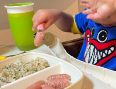 ご飯を食べる２歳児の写真