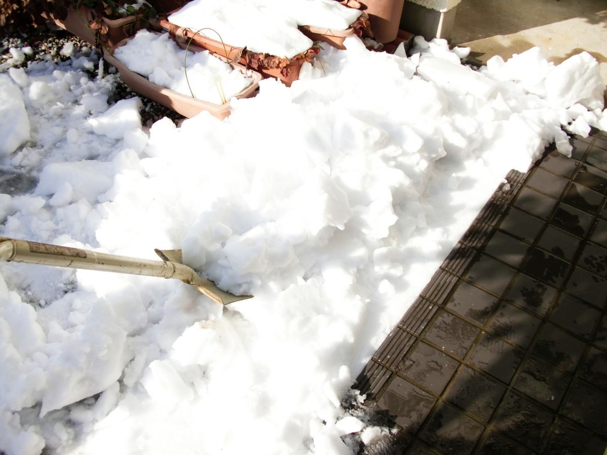 庭に積もった雪