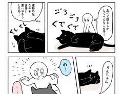 「うちの猫、食べる寝るしかしないな」　飼い主が鬼ごっこをしかけたところ？