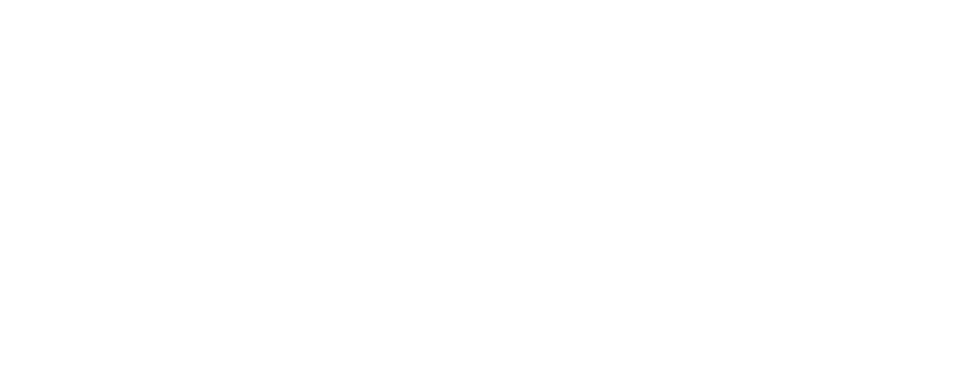 Chiesi Global Rare Diseases logo