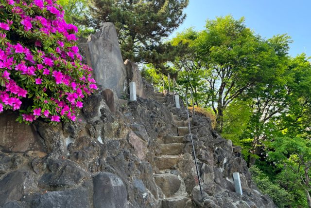 品川神社の富士塚