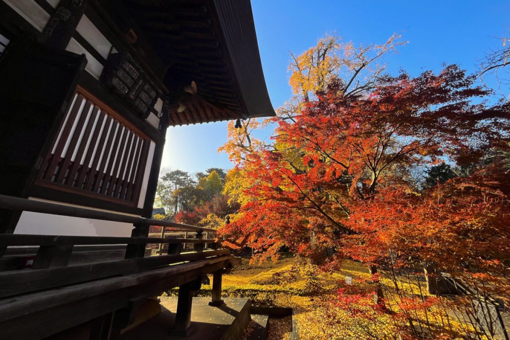 九品仏浄真寺