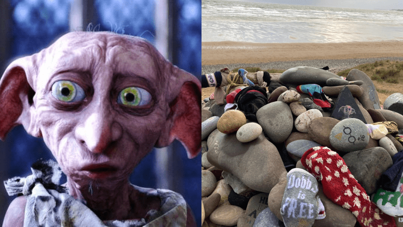 Socks left by Harry Potter fans at Dobby’s memorial site become environmental hazard for wildlife