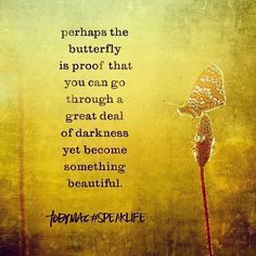 #quote #inspirationalquote Rose Hill Designs, Tobymac Speak Life, Now Quotes, Saint Esprit, Speak Life, Life Quotes Love, E Card, The Butterfly, A Butterfly