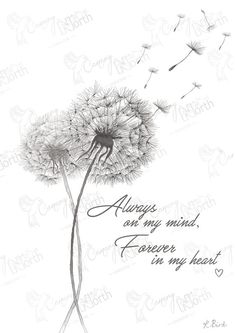 a drawing of a dandelion with the words always one my mind, forever in my heart