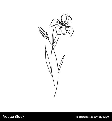 Iris Simple Drawing, Iris Floral Tattoo, Iris Flower Drawing Simple, Iris Drawing Simple, Iris Tattoo Black, Iris Drawing Flower, Iris Flower Tattoo Black, Iris Flower Tattoo Small, Simple Iris Tattoo