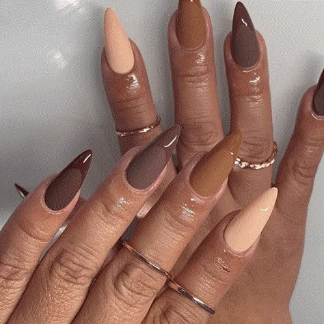 Safari Inspired Nails, Natural Fall Nail Colors, Matte Nails With Glossy Tips, Medium Stiletto Nails, Nail Ideas For Fall, Medium Stiletto, Fall Nail Ideas, Stylish Nails Designs, Brown Nails