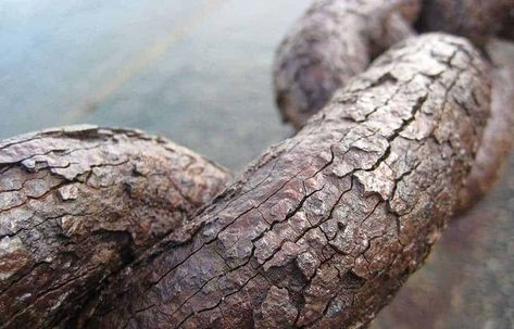 How to Remove Iron From Well Water Once and for All – World Water Reserve Well Water System, Macro Texture, Rusty Chain, Gcse Photography, New Zealand Beach, Iron Water, Best Iron, Theme Nature, Well Water