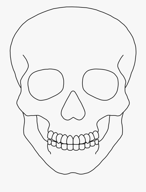 Skeleton Art Head, Skeleton Face Drawing Easy, Outline Sketches Line Drawings, Skeleton Line Art Simple, Easy Drawings Outline, Skeleton Outline Drawing, Skull Line Art Simple, Skeleton Drawing Head, Simple Skull Painting