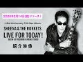 鮎川誠によるシーナ&ロケッツ『LIVE FOR TODAY!』紹介映像