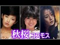 秋桜  コスモス  (山口百恵 + 松田聖子 + 中森明菜)