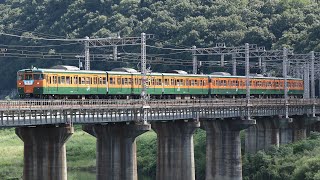 【警笛あり】 115系6両 懐かしの急行鷲羽 熊山～万富通過