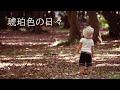 琥珀色の日々/菅原進(ビリーバンバン)