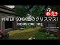 【カラオケ】WINTER SONG(雪のクリスマス)/DREAMS COME TRUE