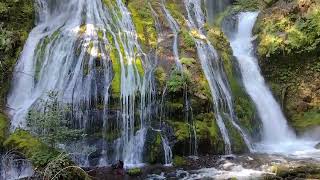 A moment of zen at Panther Creek Falls