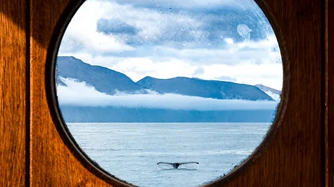 A circular porthole window which looks out the landscape of Northern Iceland u2013 a whale's tail pokes out above the surface of the ocean and mountains in the background (Credit: Getty Images)