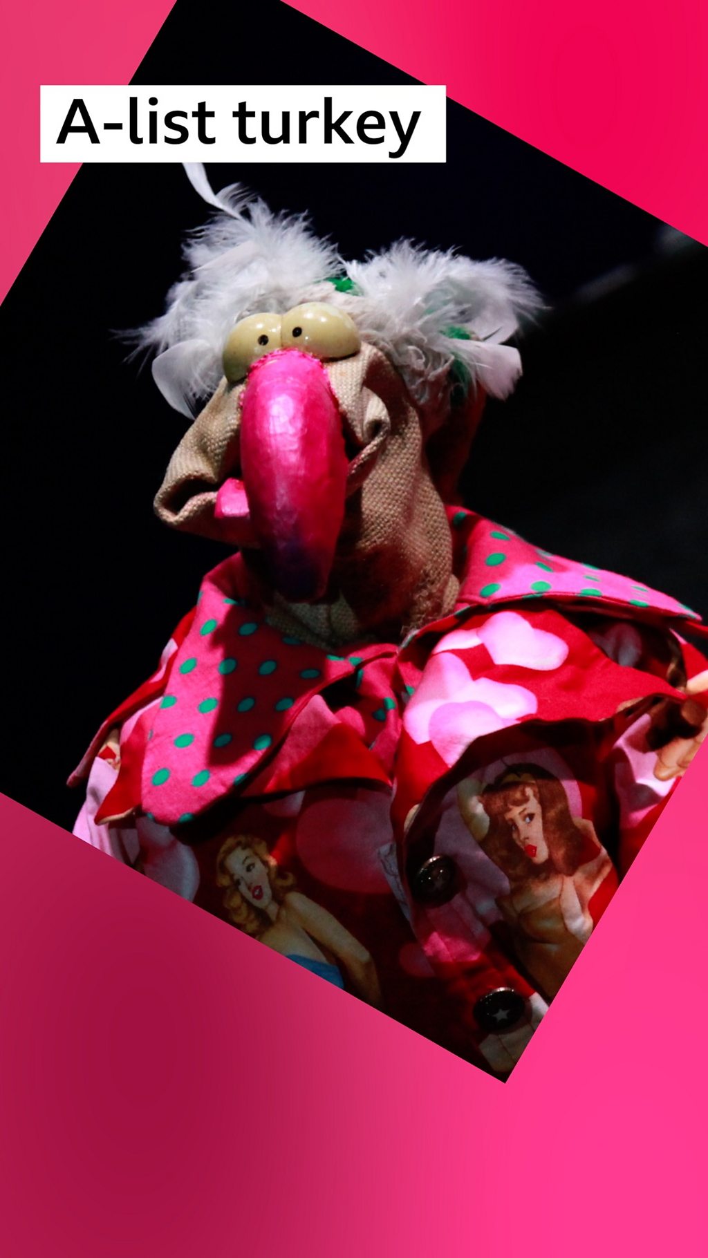 Dustin the turkey puppet, with a pink beak and colourful costume, looks to camera. Label text: A-list turkey.