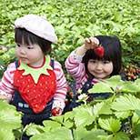 食べ放題あり