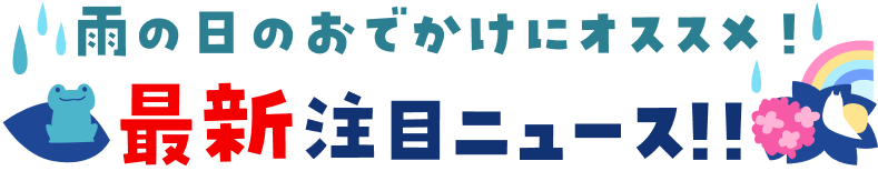 雨の日のおでかけにオススメ！最新注目ニュース!!