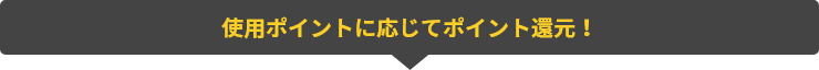 使用ポイントに応じてポイント還元！