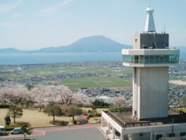 城山公園の桜(鹿児島県)