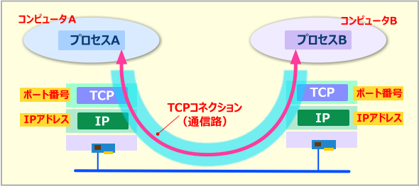 TCP̒ʐMf