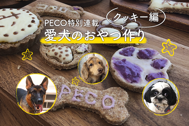 【愛犬のおやつ作り】アイシングクッキーを作ってみよう！