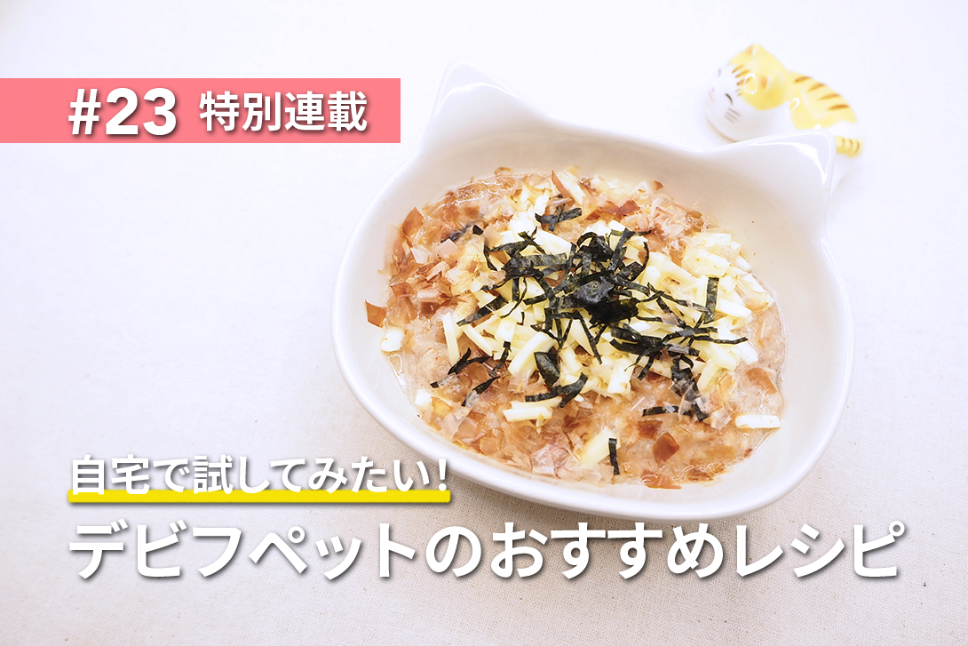 【栄養士監修】おこのみ3色 猫まんま丼風